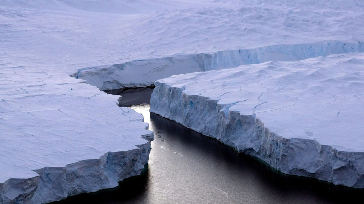 150.000 pingüinos mueren tras el choque de un iceberg gigante contra su bahía