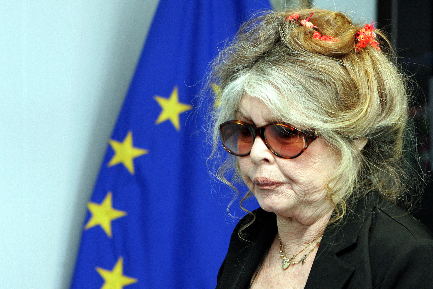 Brigitte Bardot: "la caza con galgos en España es crueldad animal"