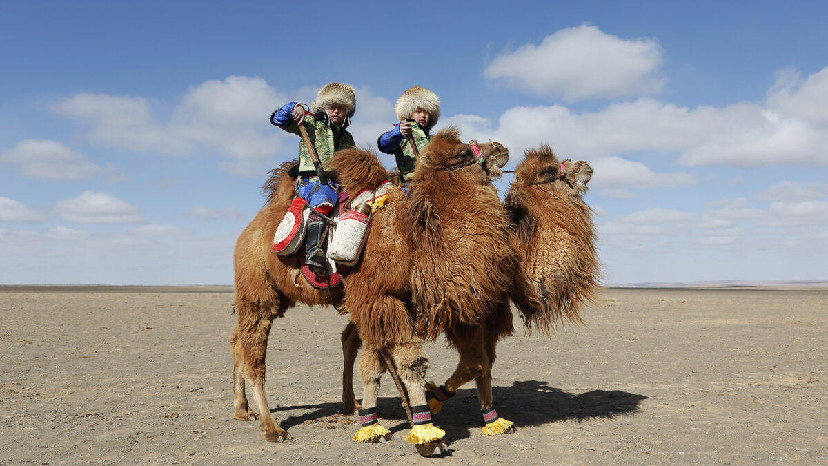 ¿Cómo es la carrera de camellos más grande del mundo?