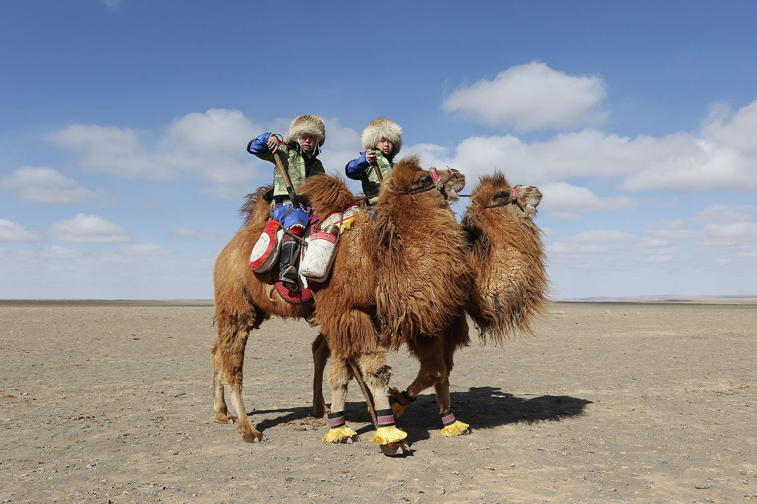 ¿Cómo es la carrera de camellos más grande del mundo?