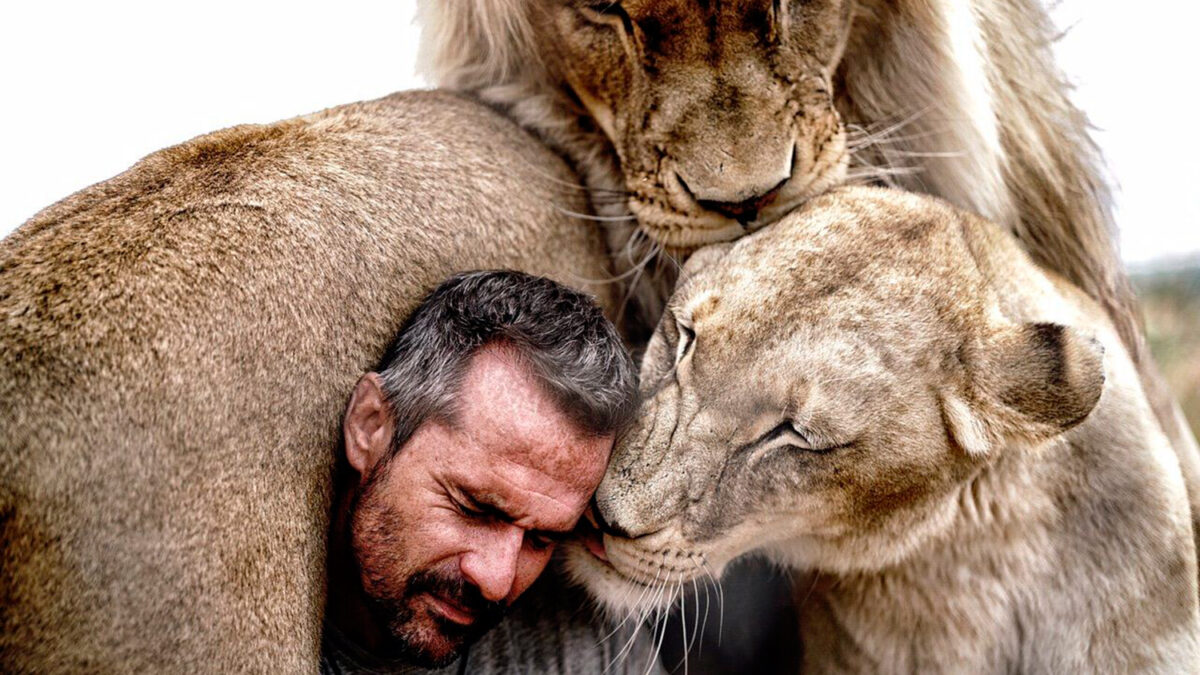Unas impresionantes imágenes muestran la unión entre un hombre y una manada de leones