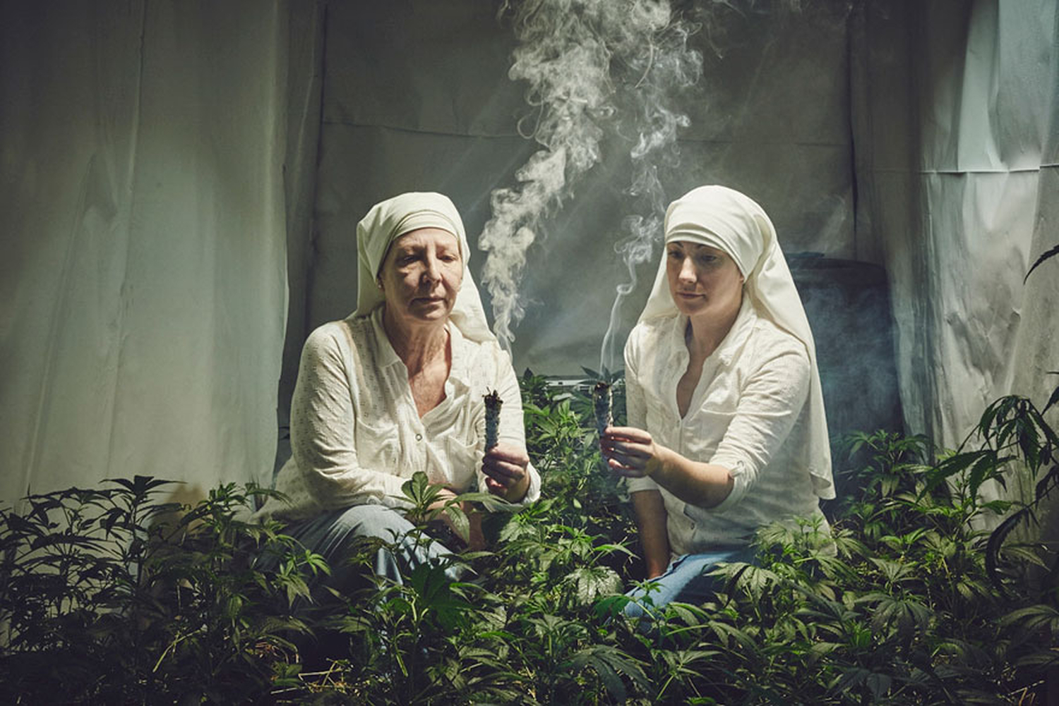 La monjas que cultivan marihuana para sanar el mundo