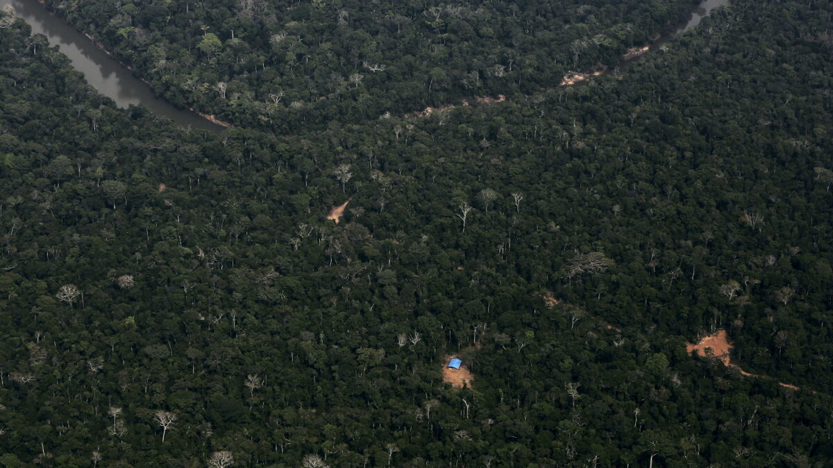 La concentración de CO2 enverdece la Tierra