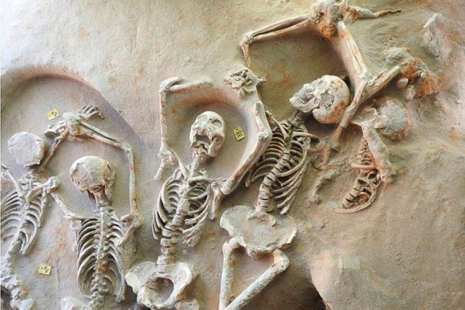 Encuentran 80 esqueletos encadenados y con las manos atadas por encima de su cabeza