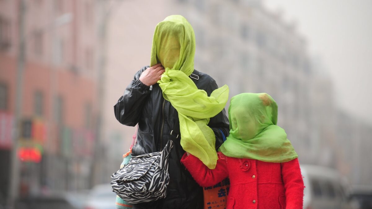 El 80% de los habitantes de las ciudades respiran aire contaminado