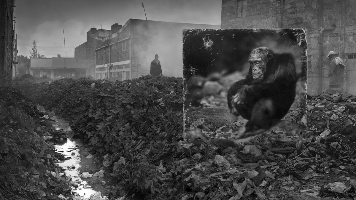 El fotógrafo de los animales fantasma