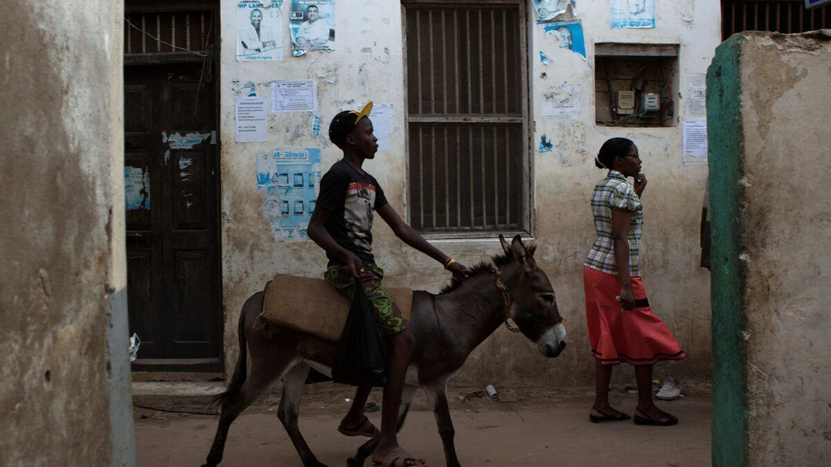 Una pequeña isla con 24.000 personas, 6.000 burros, y sólo dos coches