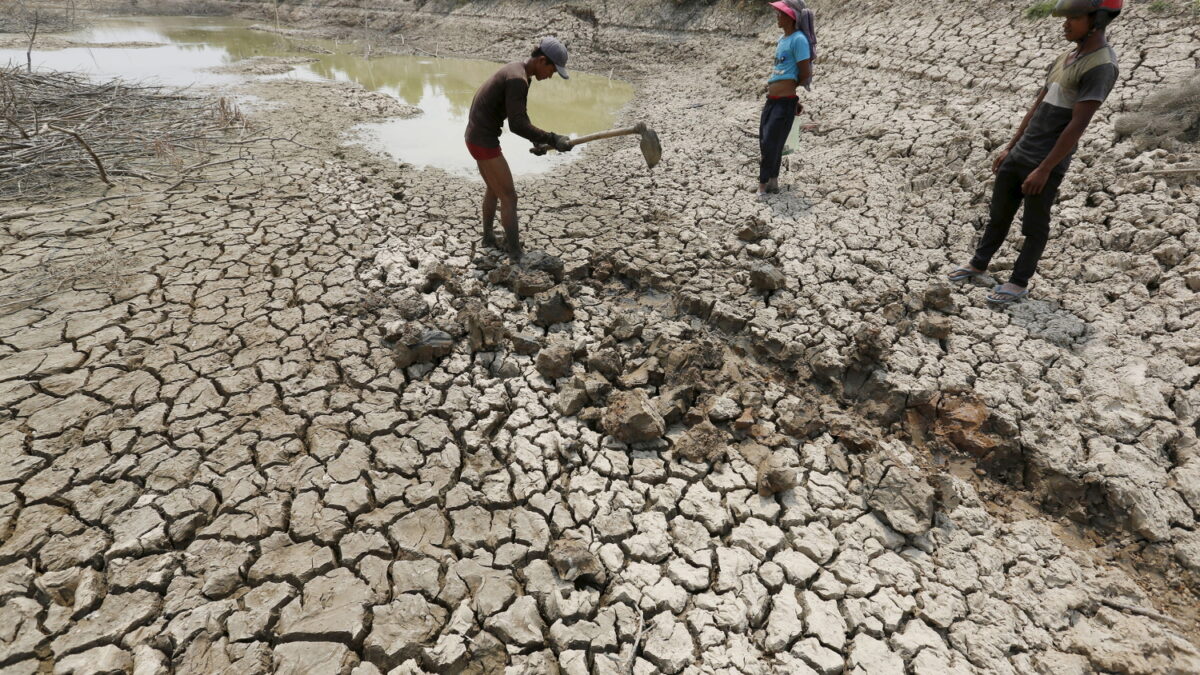 Camboya se seca y empiezan a aparecer muertos cientos de animales