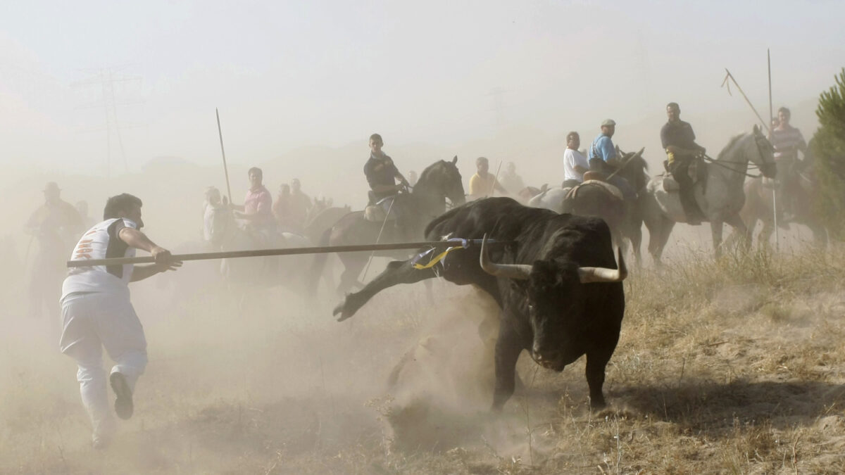 Prohibido matar al Toro de la Vega