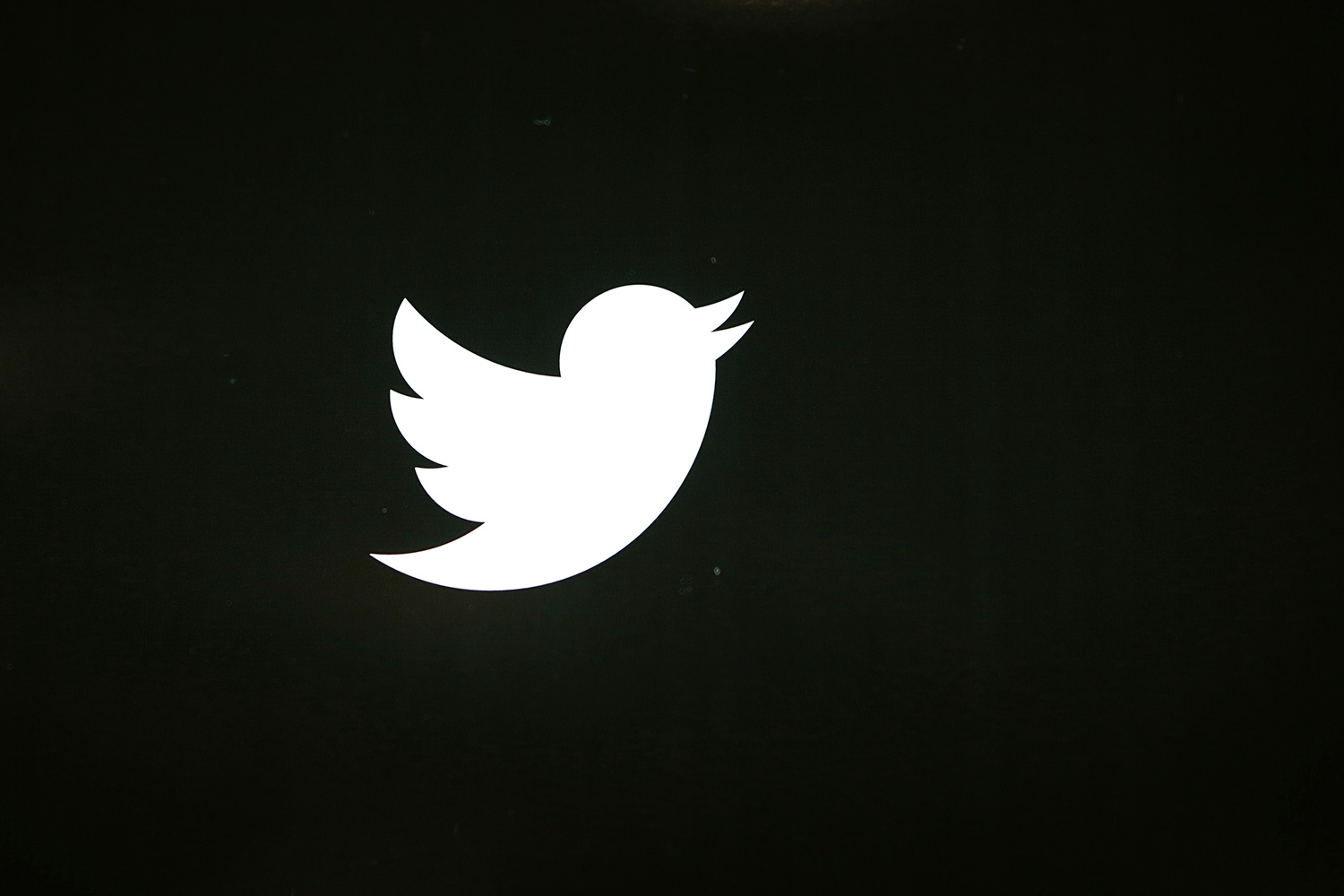 Twitter deniega el acceso a su plataforma de datos a las agencias de inteligencia