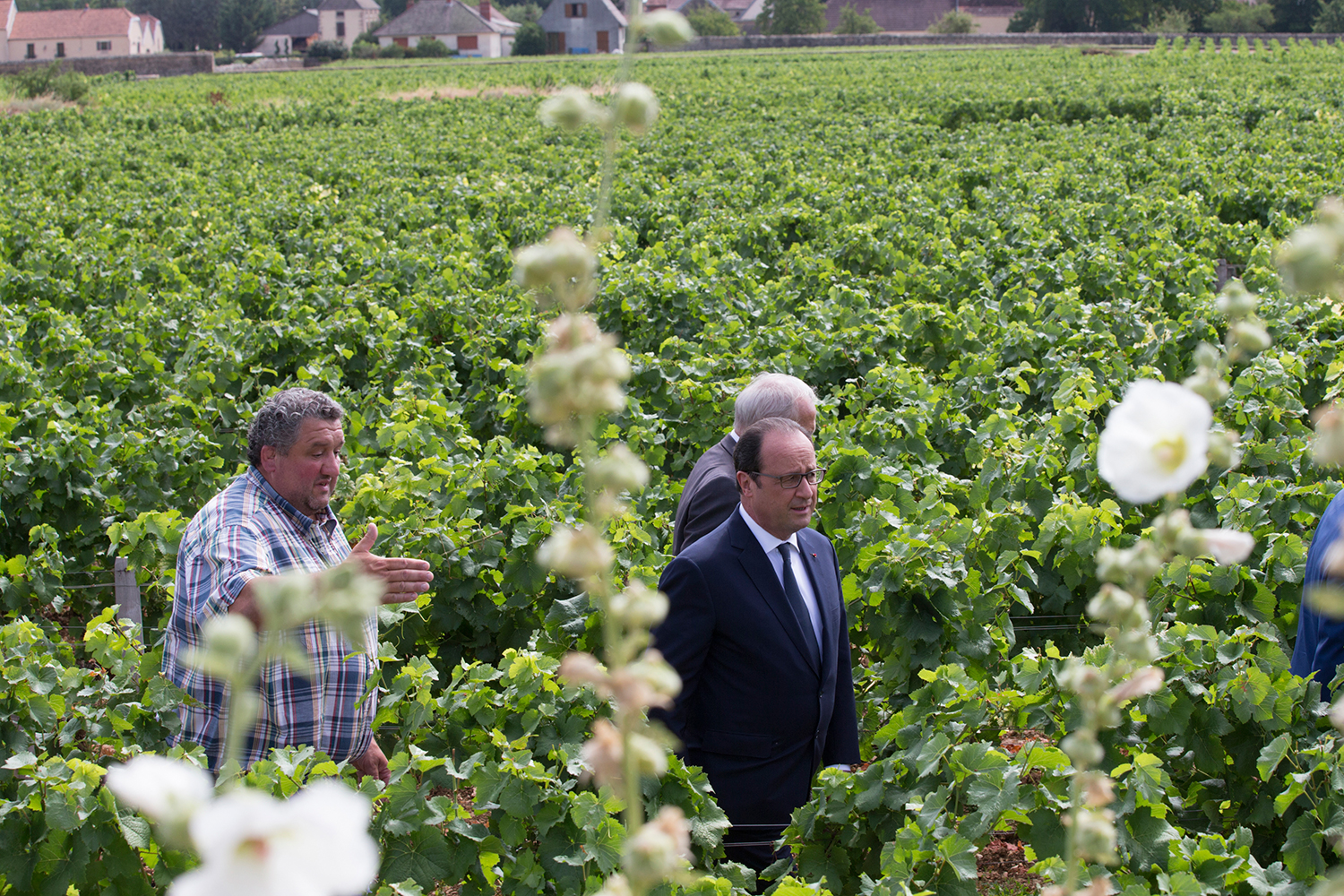 La heladas estropean un tercio de los viñedos de Borgoña