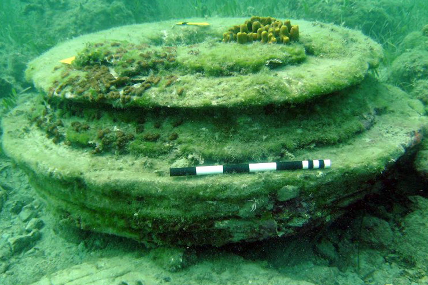 Buzos descubren bajo el agua lo que parece ser una antigua isla griega