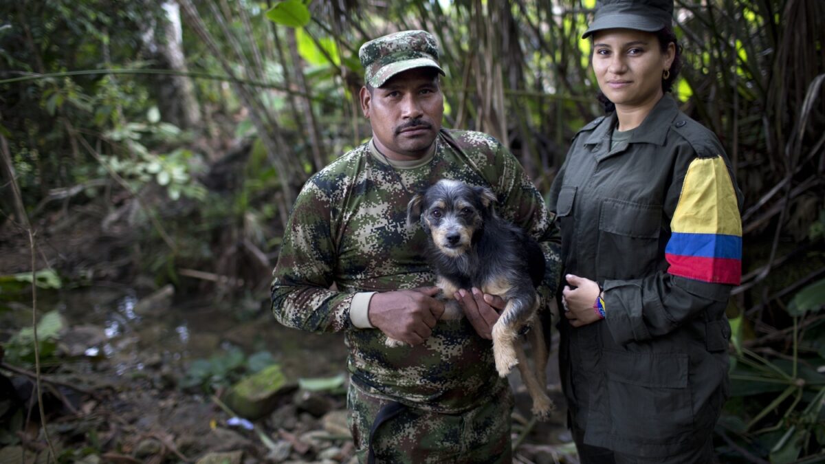 Alto el fuego definitivo entre las FARC y Colombia