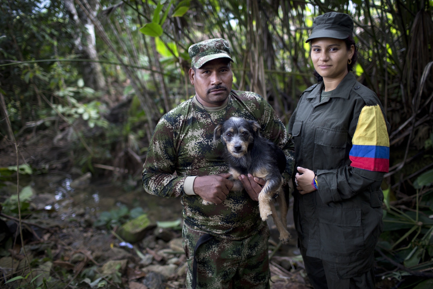 Alto el fuego definitivo entre las FARC y Colombia