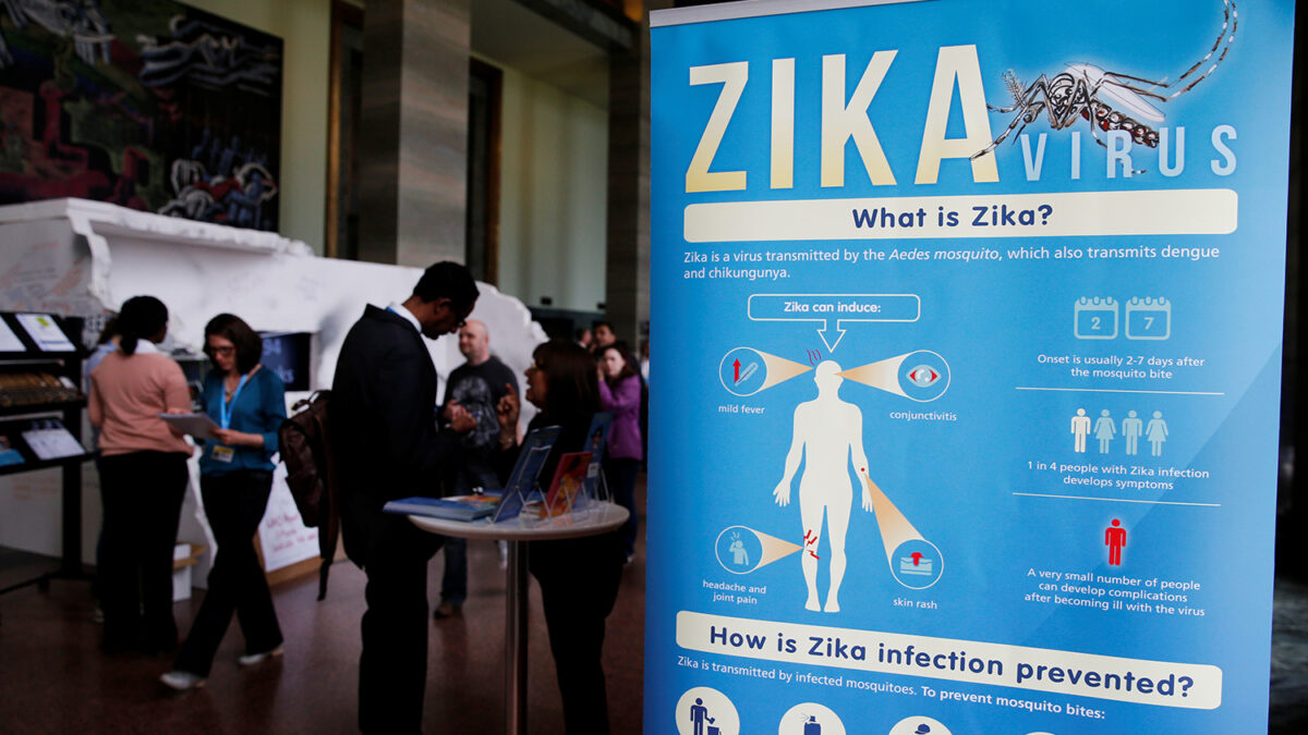 Estados Unidos autoriza la primera prueba de una vacuna del zika en humanos