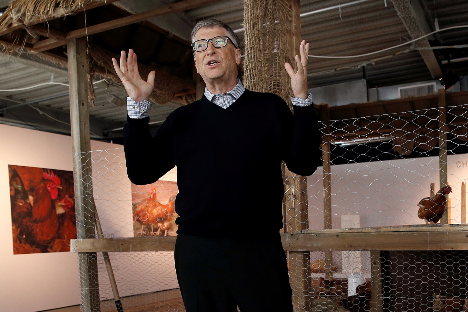 Bill Gates dona 100.000 pollos a África para combatir la pobreza