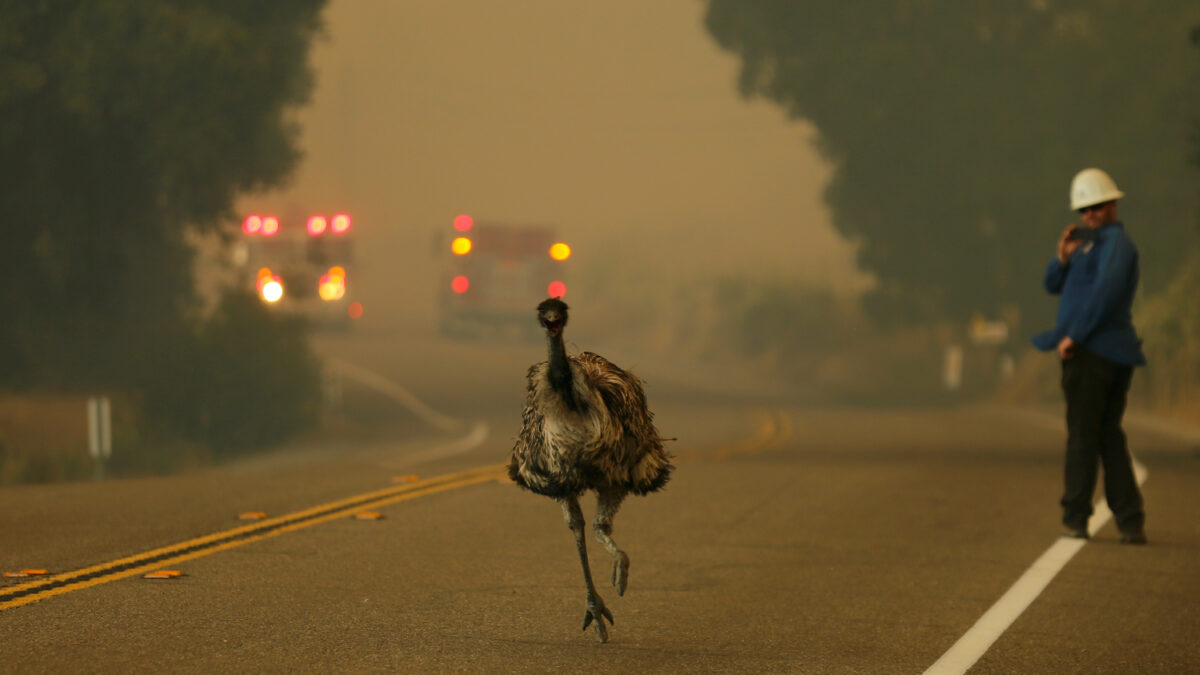 Las llamas devoran el sur de California