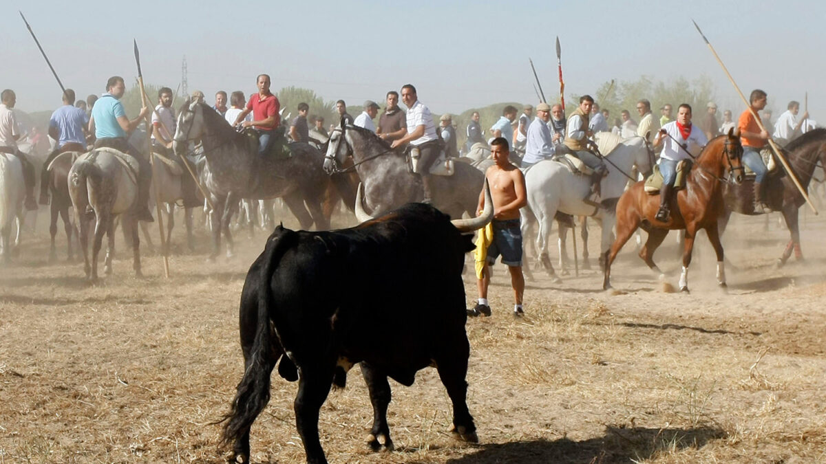 Castilla y León deniega a Tordesillas la autorización para celebrar el Toro de la Vega