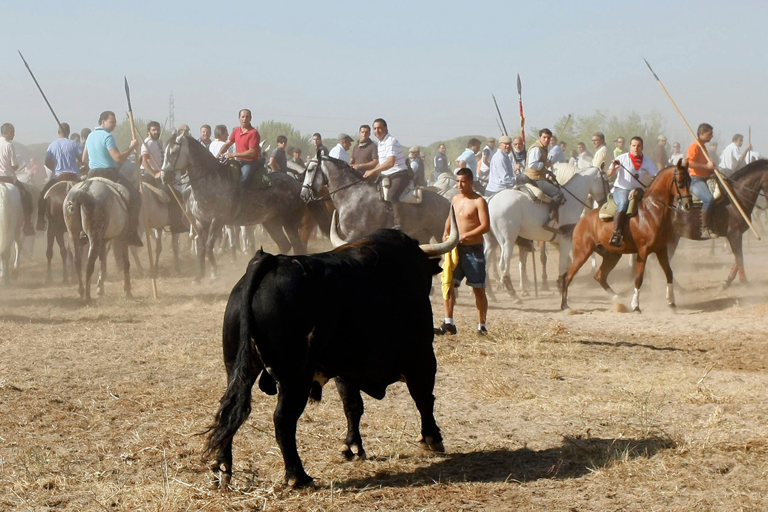 Castilla y León deniega a Tordesillas la autorización para celebrar el Toro de la Vega