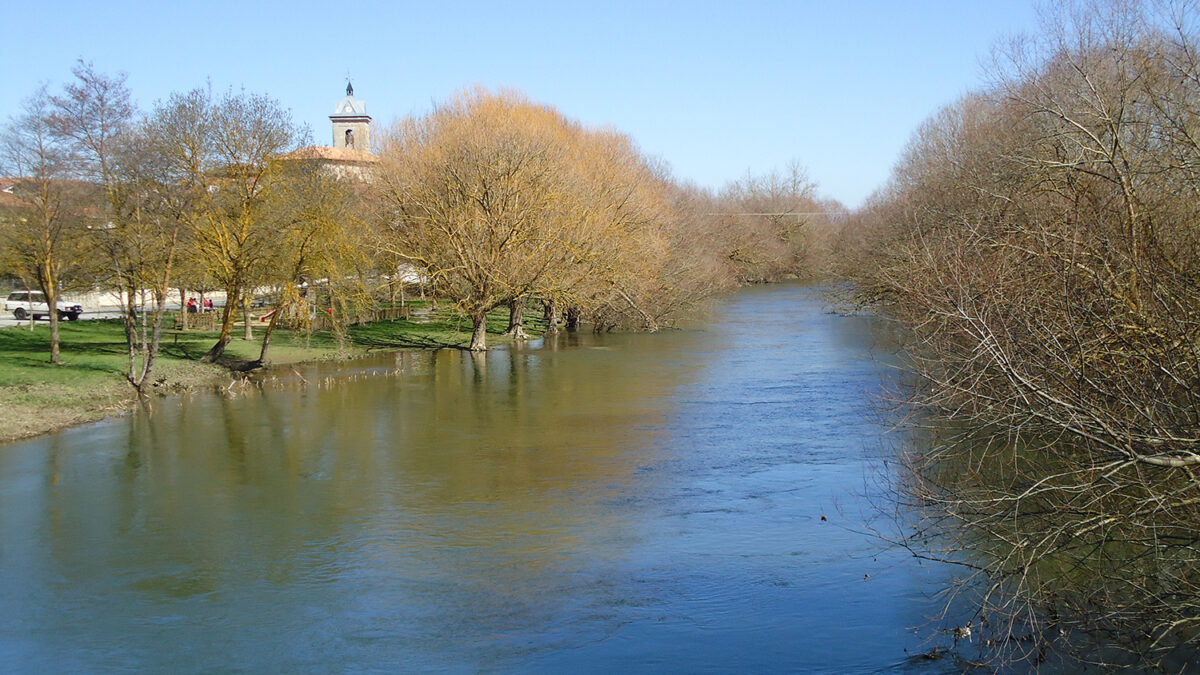 Un hombre descuartiza a una mujer en Vitoria y la arroja al río