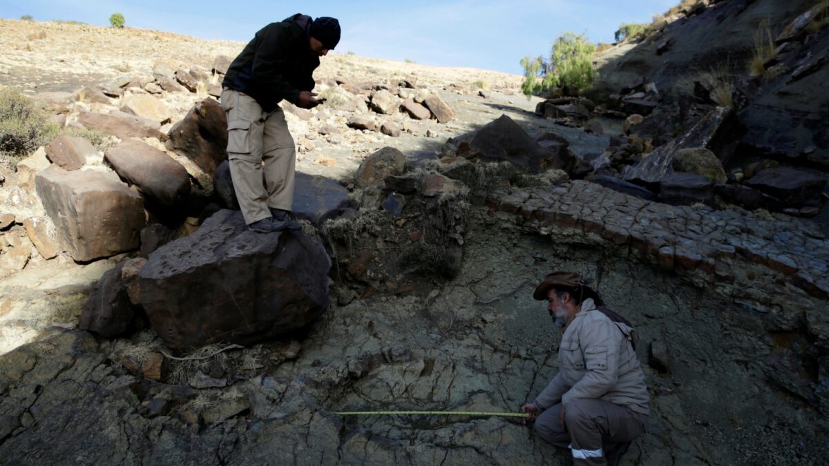 Paleontólogos descubren en Bolivia la huella de un gran depredador del Jurásico