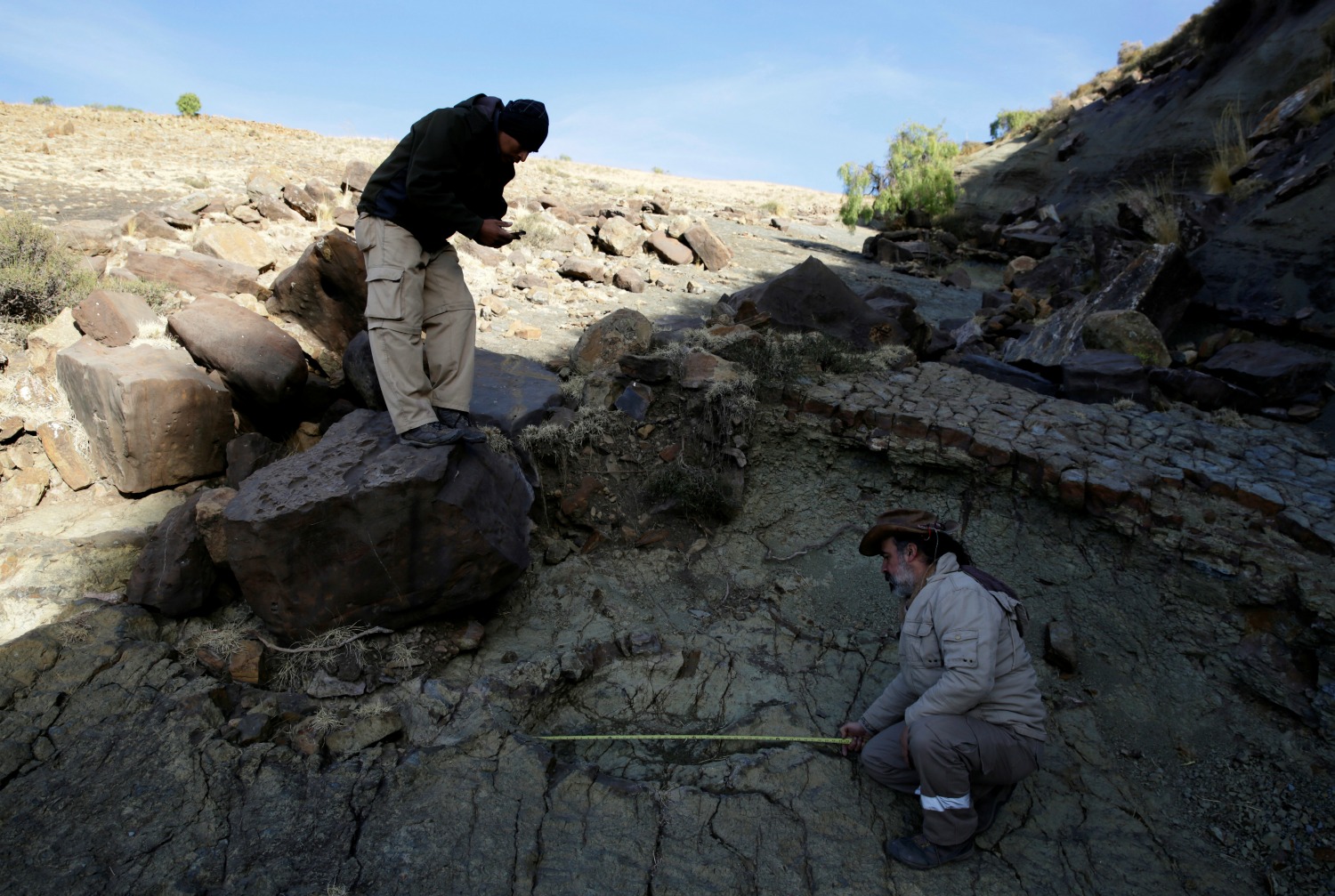 Paleontólogos descubren en Bolivia la huella de un gran depredador del Jurásico
