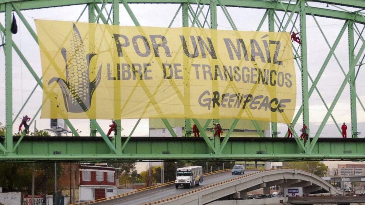 La contundente respuesta de Greenpeace a los Premios Nobel que le acusaron de crímenes por su rechazo a los transgénicos