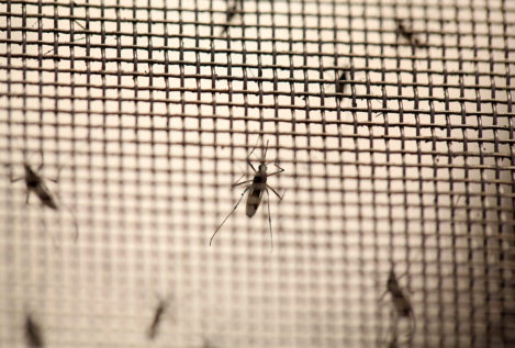 Registrado en Madrid el primer caso de zika por transmisión sexual en España