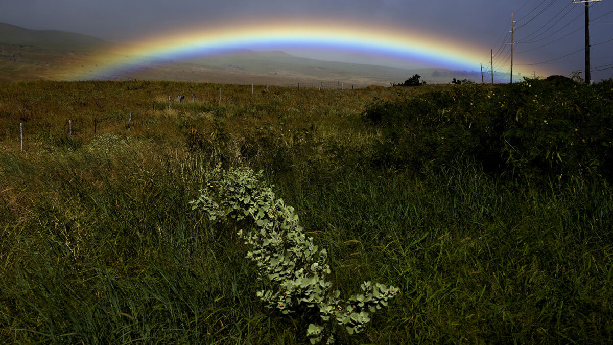 Cuando los colores del arcoiris embellecen el paisaje