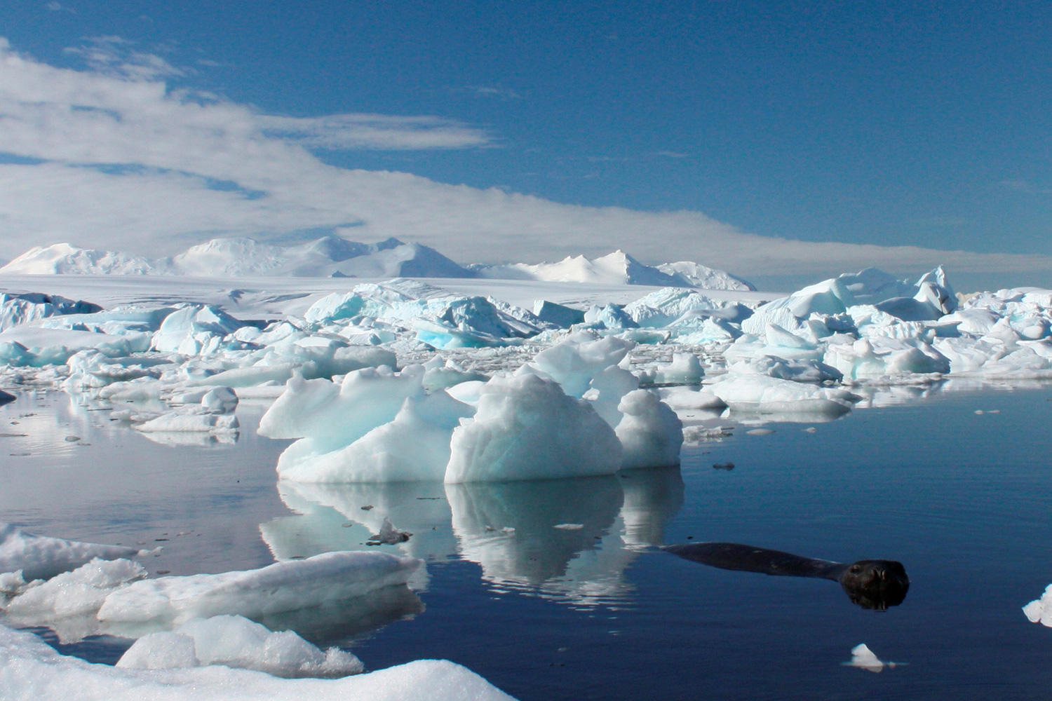 Los preocupantes lagos azules de la Antártida
