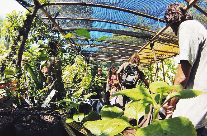 Iniciativa de permacultura en Ometepé