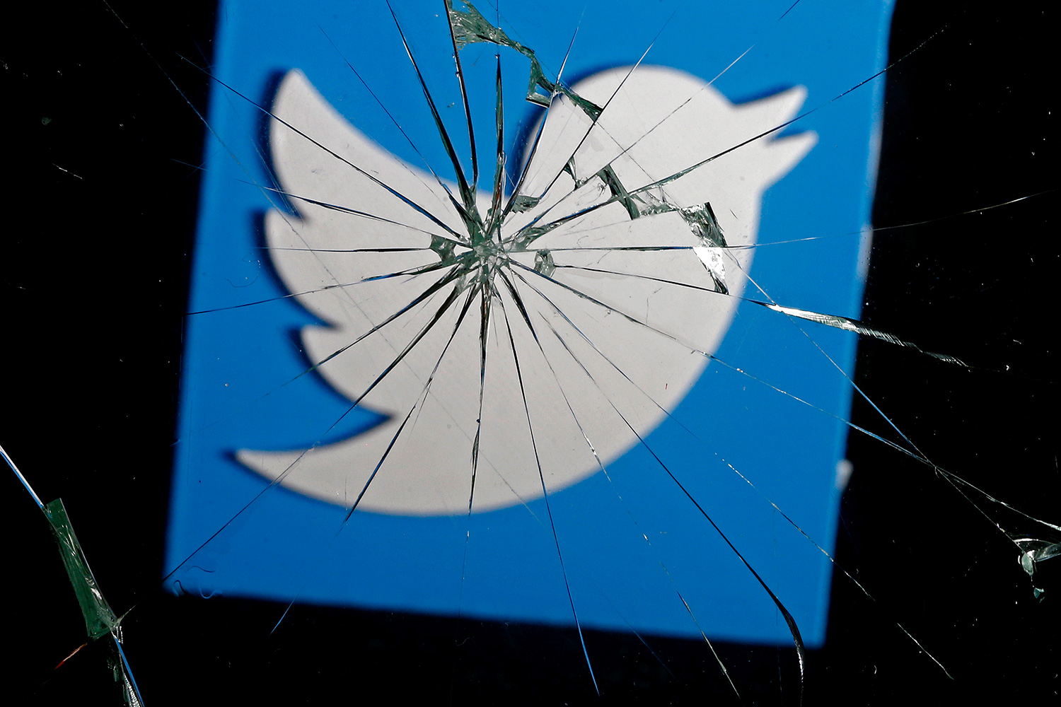 Twitter ha cerrado más de 360.000 cuentas de extremistas en sólo un año