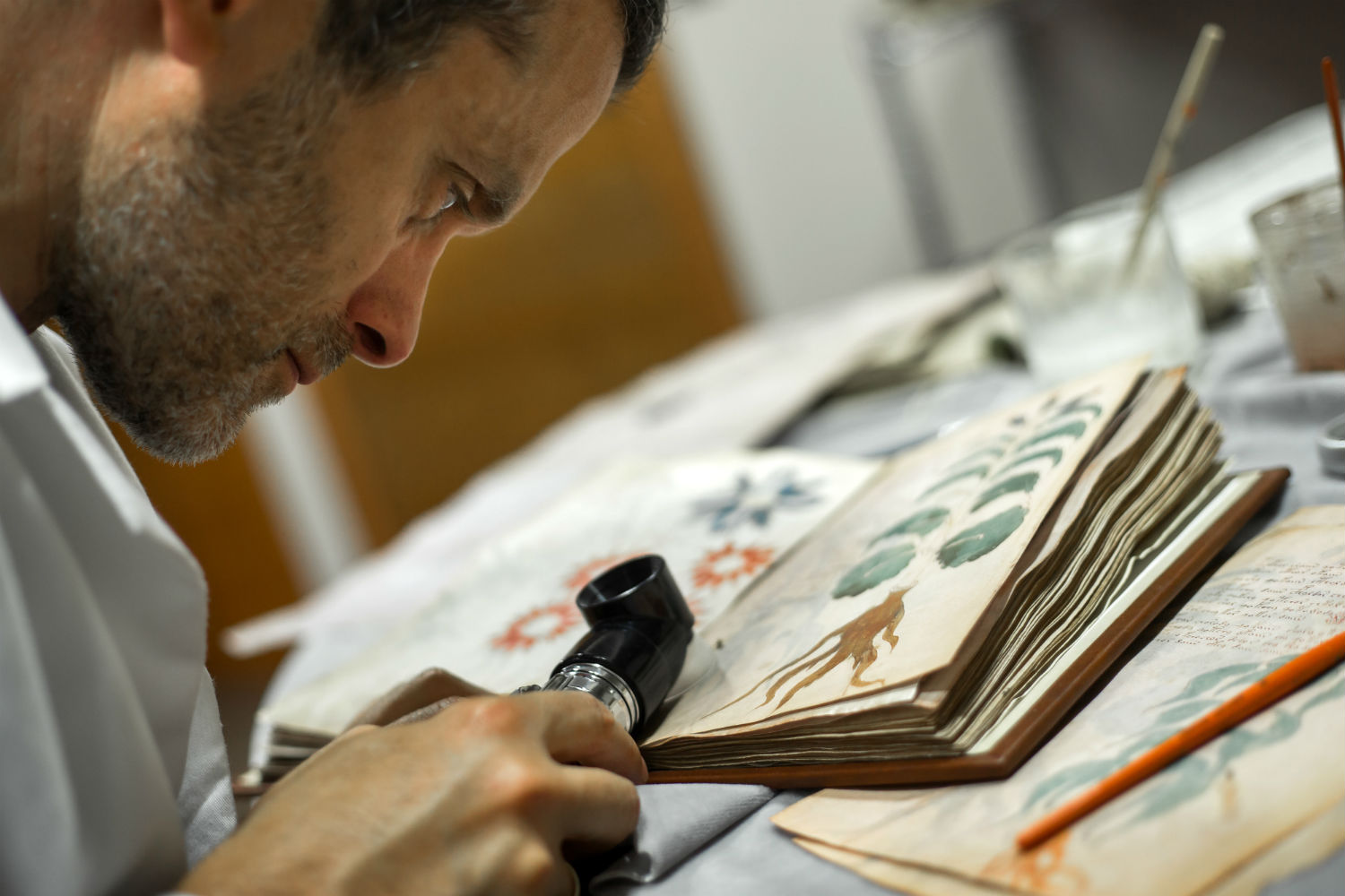 Una editorial española gana los derechos del manuscrito Voynich, el libro que nadie puede leer