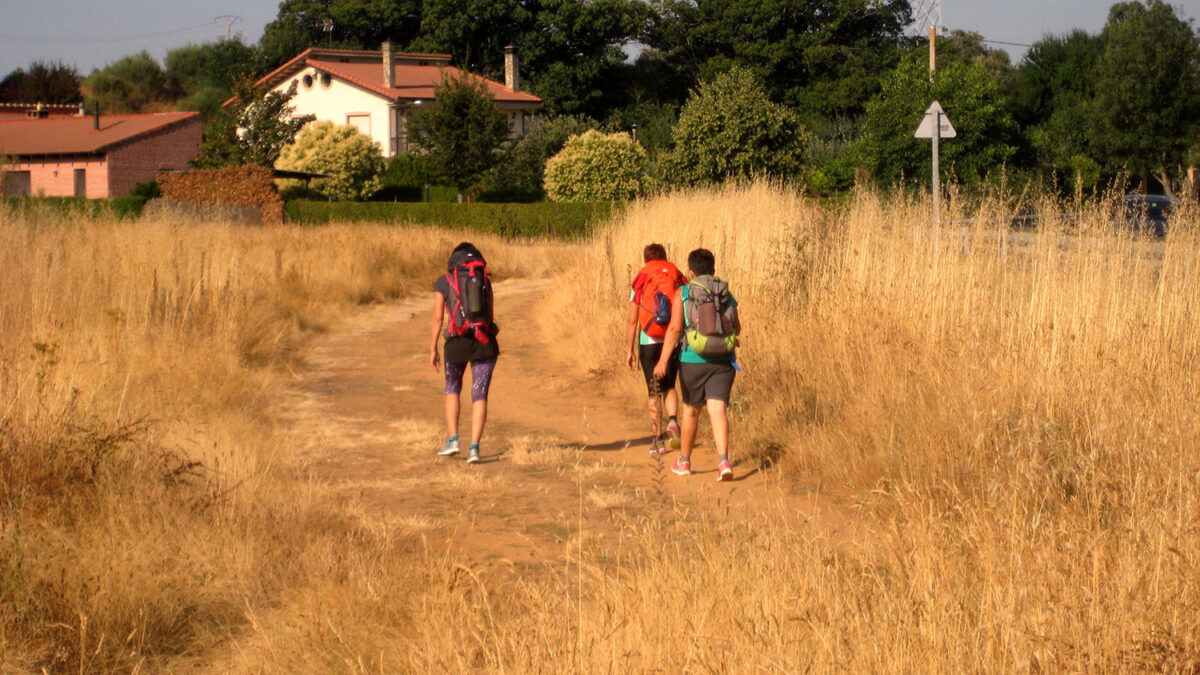 Estafa en el Camino de Santiago: detenidos cuatro falsos trabajadores de una ONG