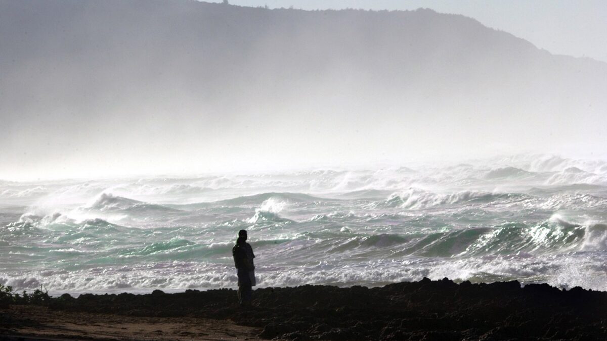 Los náufragos no son los únicos que beben agua de mar