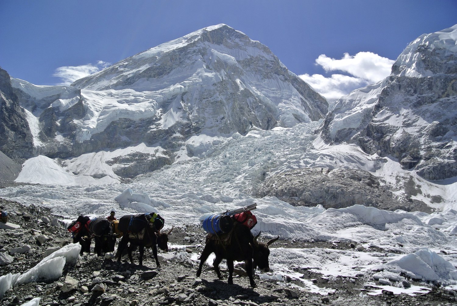 Muere un alpinista español en una avalancha de piedras en el Himalaya