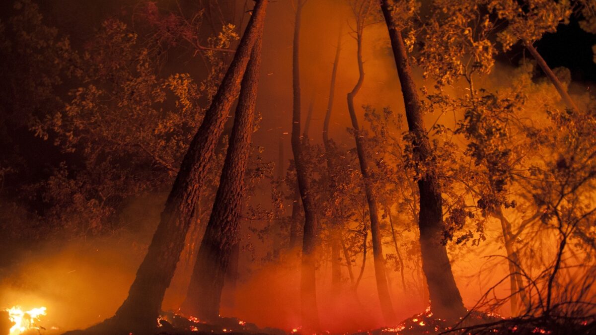 El fuego en Ourense avanza y sigue cerca de las casas