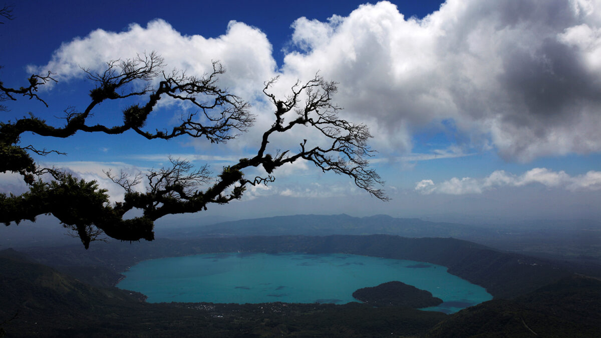 Un 10% de la naturaleza virgen del planeta ha desaparecido en 20 años