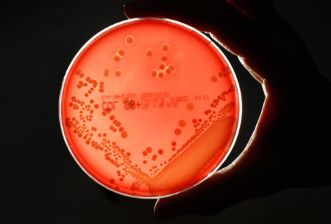 La ONU acuerda luchar contra la mayor amenaza para la salud mundial: las superbacterias