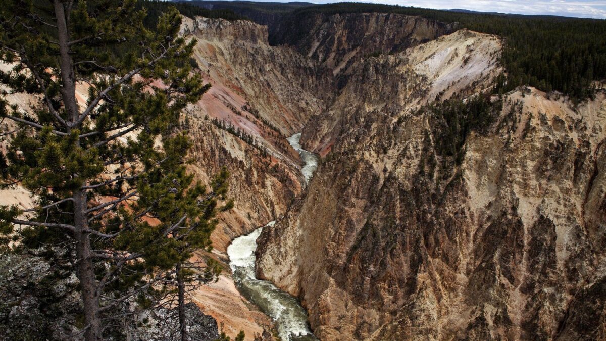 Yellowstone, un parque con siglo y medio de historia