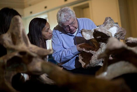 Científicos anuncian el descubrimiento del dinosaurio más grande de Brasil