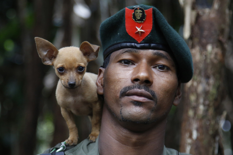 CORRECTS DATE PHOTO TAKEN - In this Aug. 13, 2016 photo, a rebel soldier of the 48th Front of the Revolutionary Armed Forces of Colombia, or FARC, poses for a photo with his dog in the southern jungles of Putumayo, Colombia. As the country’s half-century conflict winds down, with the signing of a peace deal with the Government perhaps just days away, thousands of FARC rebels are emerging from their hideouts and preparing for a life without arms. (AP Photo/Fernando Vergara)