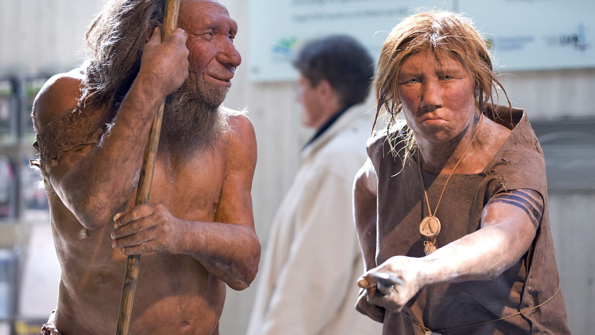 Los neandertales se extinguieron por estrés