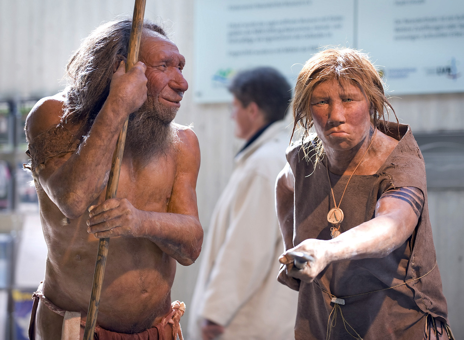 Los neandertales se extinguieron por estrés