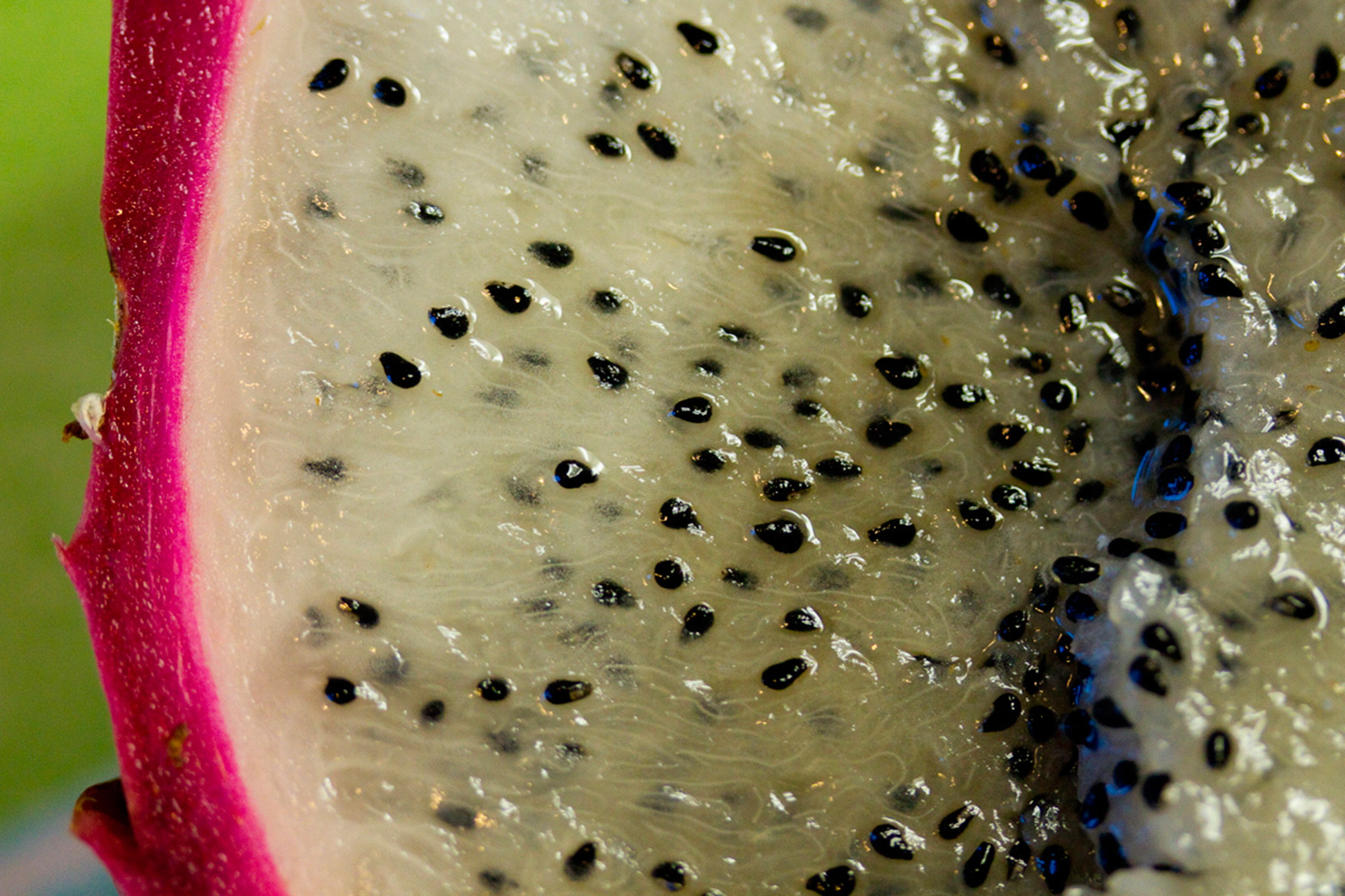 Detalle de las semillas negras de la pitaya (Foto: Alex Pierre / Flickr bajo Licencia Creative Commons)