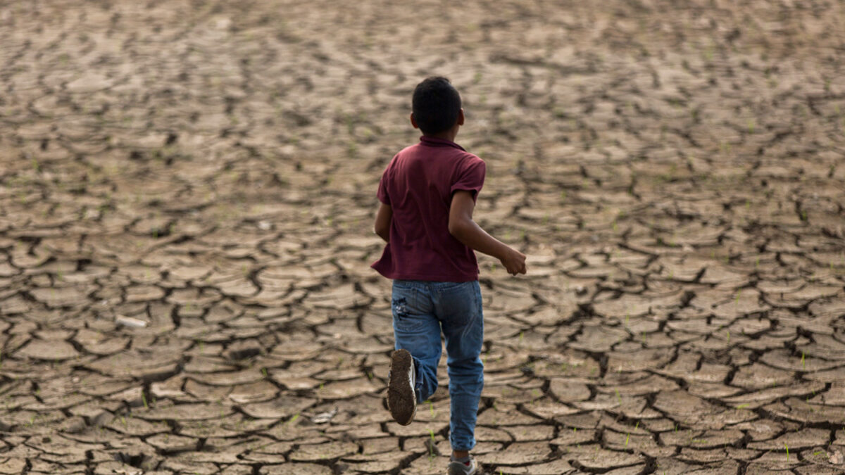 2016 será el año más cálido de la  historia