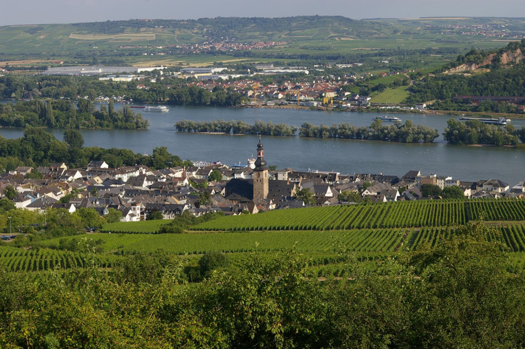 Rüdesheim am Rhein y sus viñedos. (Foto: Delphine Ménard/ Flickr)