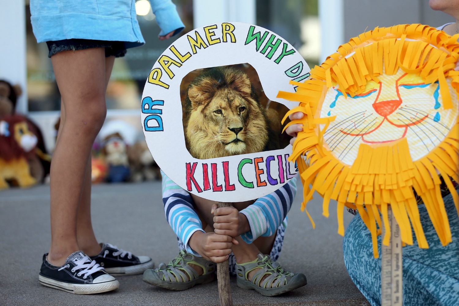 Absuelven al organizador de la cacería del león Cecil en Zimbabue