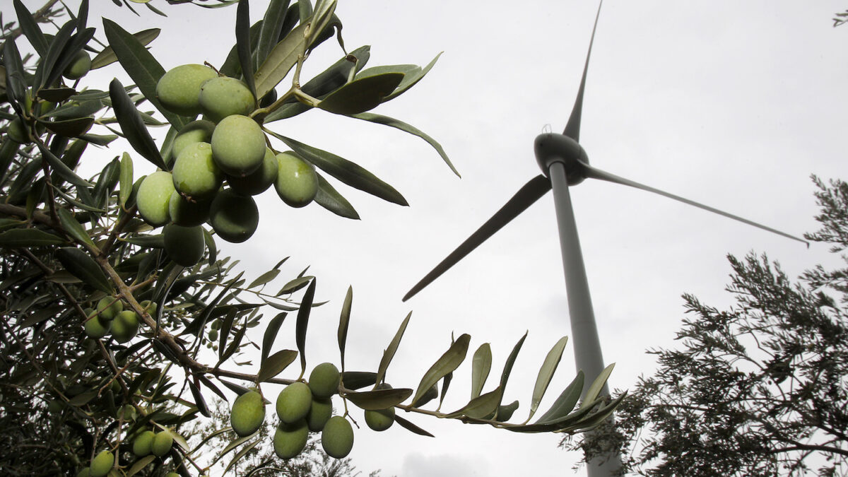 La agricultura como solución al cambio climático