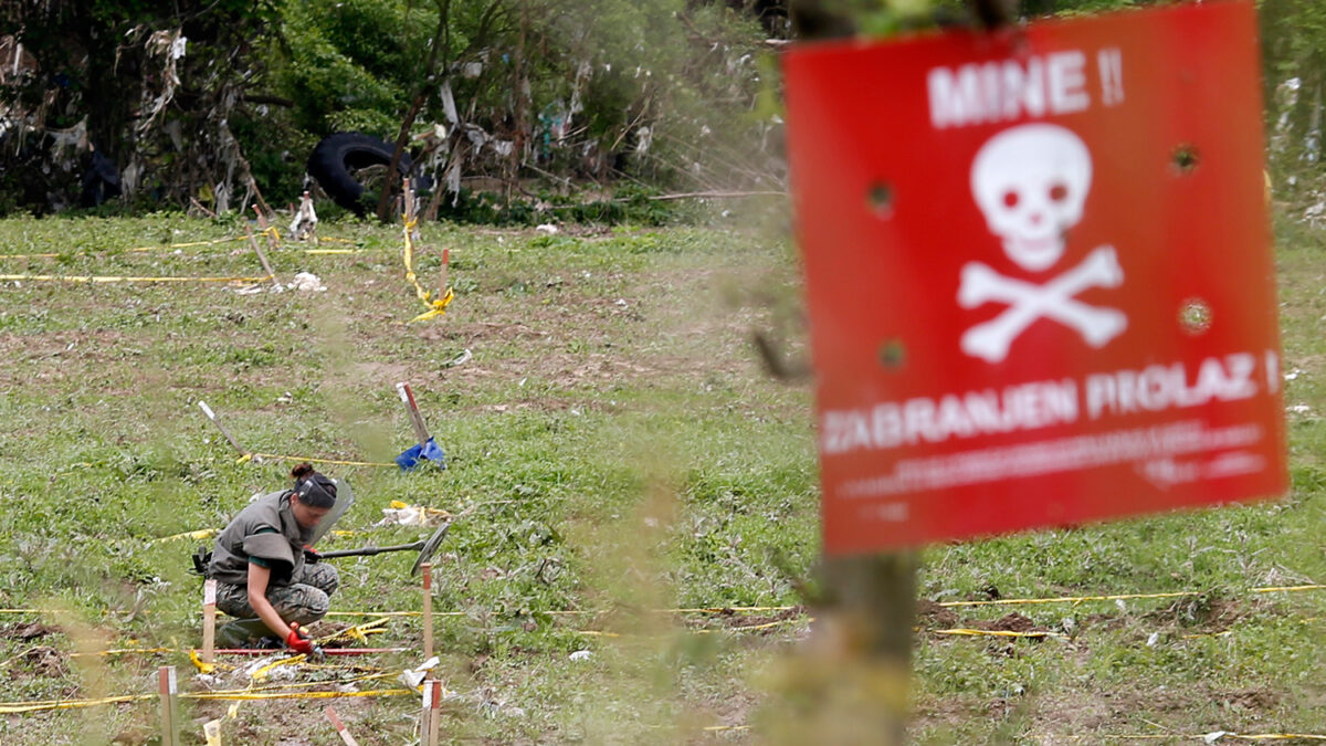 Científicos convierten plantas de espinacas en detectores de explosivos